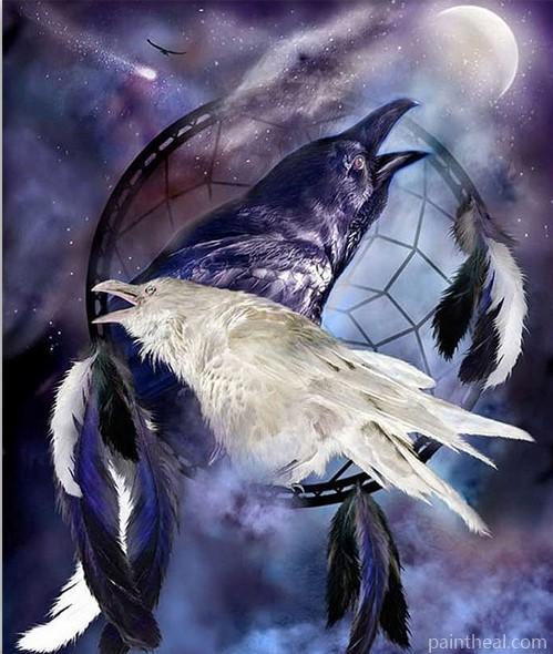 Crow Dream Catcher Painting By Numbers Kits