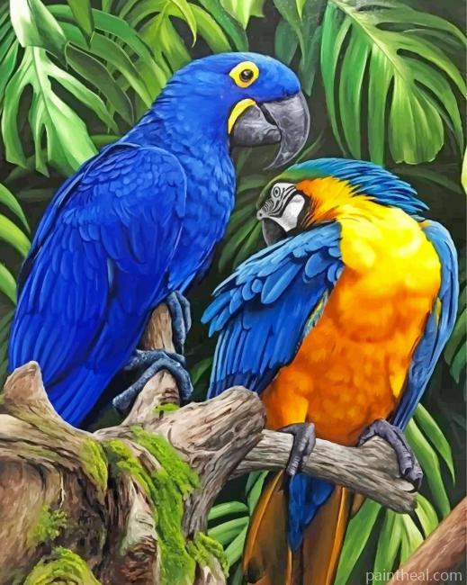 Tropical Macaws Painting By Numbers Kits