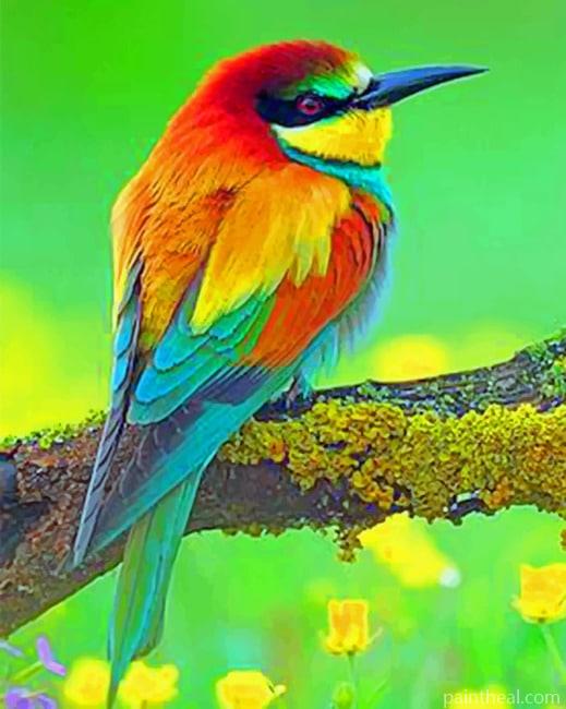 Colorful Bird Animals Painting By Numbers Kits