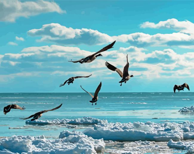 Ocean With Birds Painting By Numbers Kits
