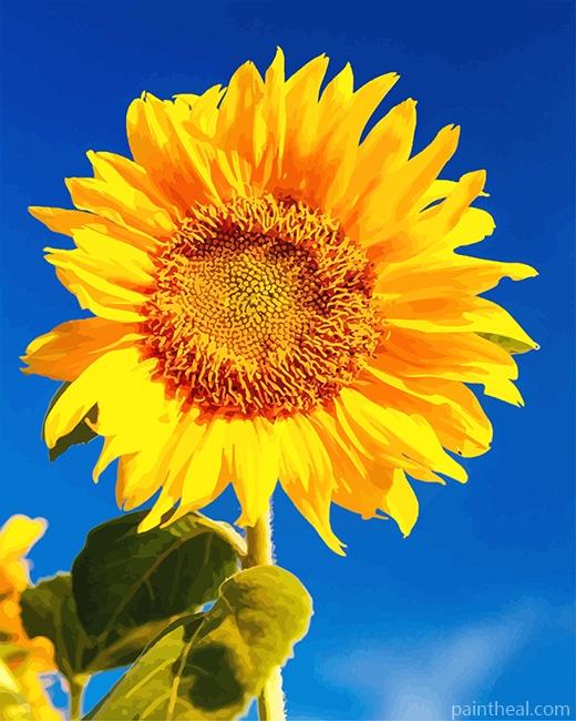 Yellow Sunflower NEW Painting By Numbers Kits