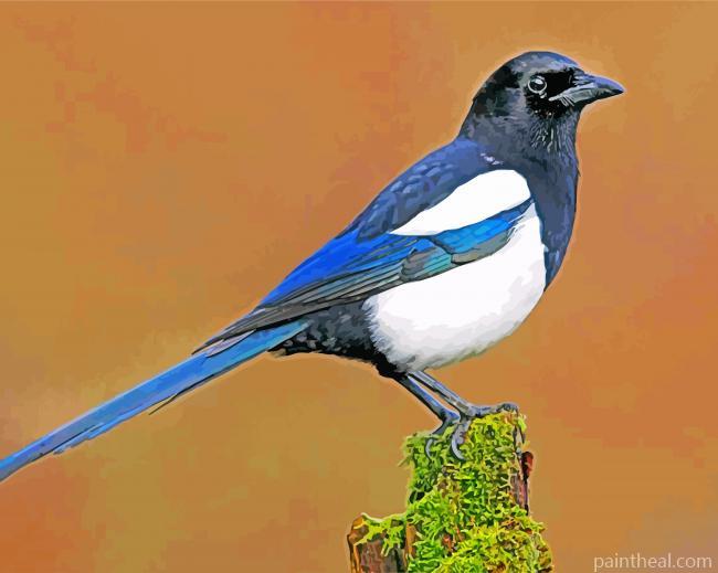 Magpie Painting By Numbers Kits