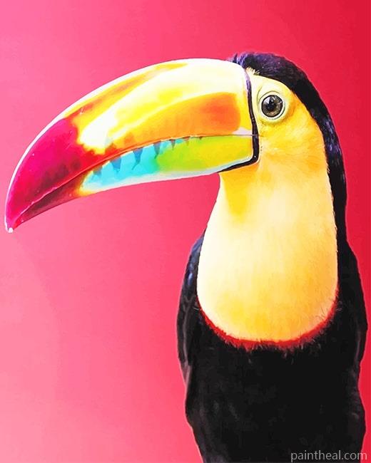Toucan Bird Art Painting By Numbers Kits