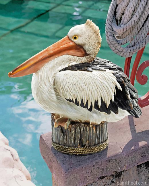 Great White Pelican Painting By Numbers Kits