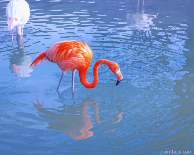 Flamingo In The Water Painting By Numbers Kits