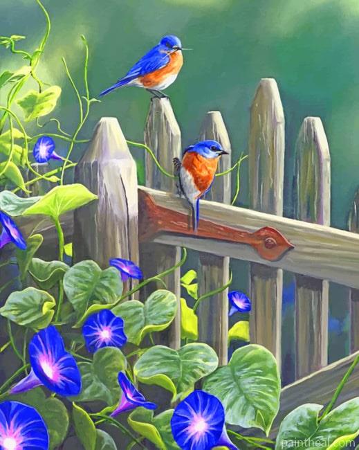 Eastern Blubirds Painting By Numbers Kits