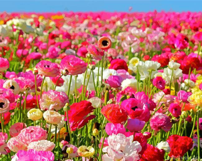 Pink Flowers In Field Painting By Numbers Kits