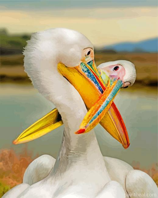 White Pelicans Painting By Numbers Kits