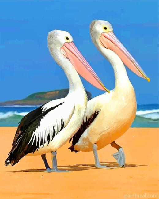 Black And White Pelicans Painting By Numbers Kits