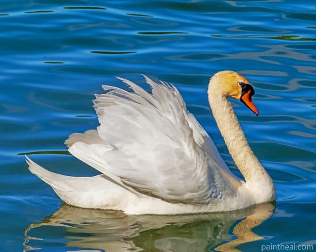 Floating White Duck Painting By Numbers Kits