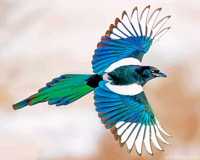 Magpie Bird Flying Painting By Numbers Kits