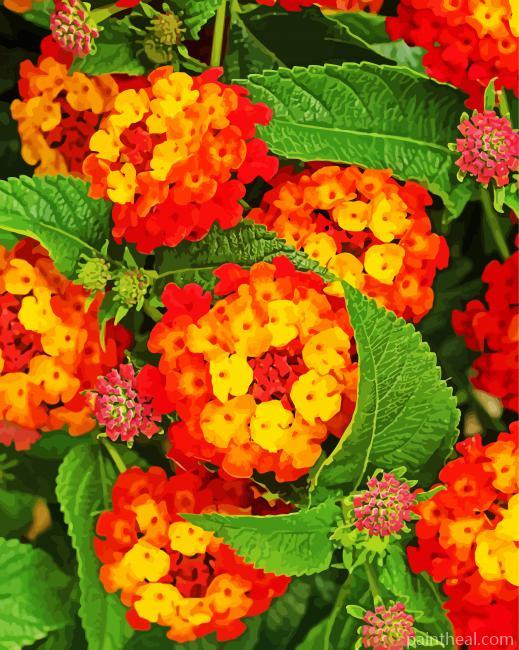 Red Orange Lantanas Flowers Painting By Numbers Kits