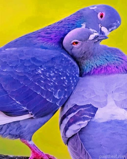 Rock Dove Painting By Numbers Kits