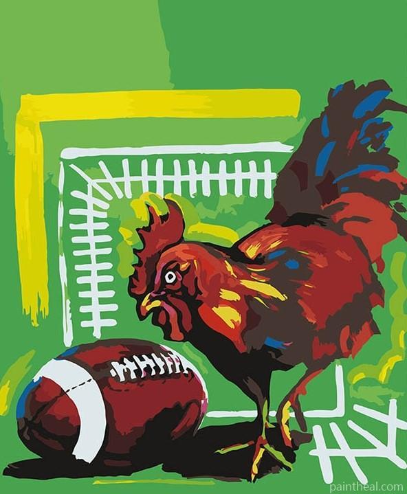 Chicken And Rugby Ball Painting By Numbers Kits