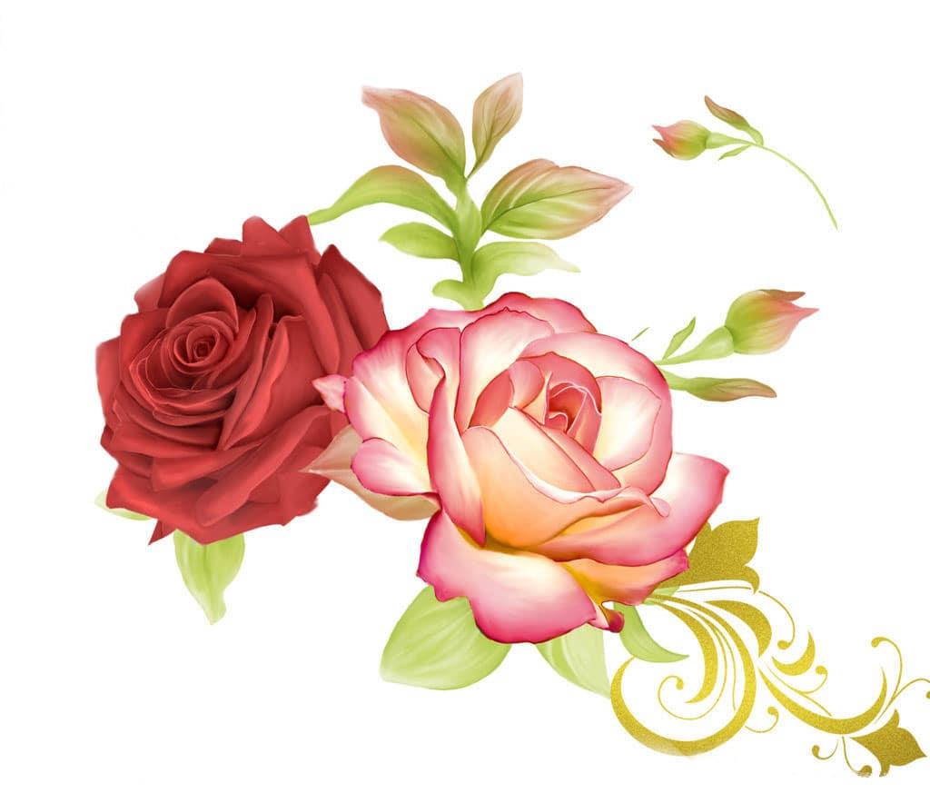 Heirloom Roses Flowers Painting By Numbers Kits
