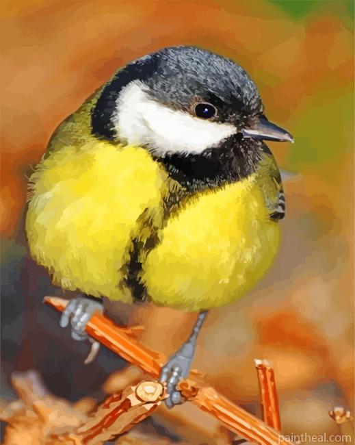 Parus Major Bird Painting By Numbers Kits
