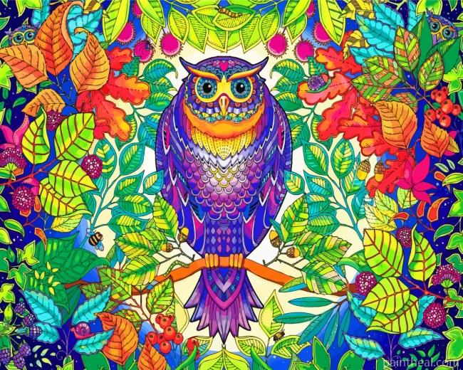 Tropical Mandala Owl Painting By Numbers Kits