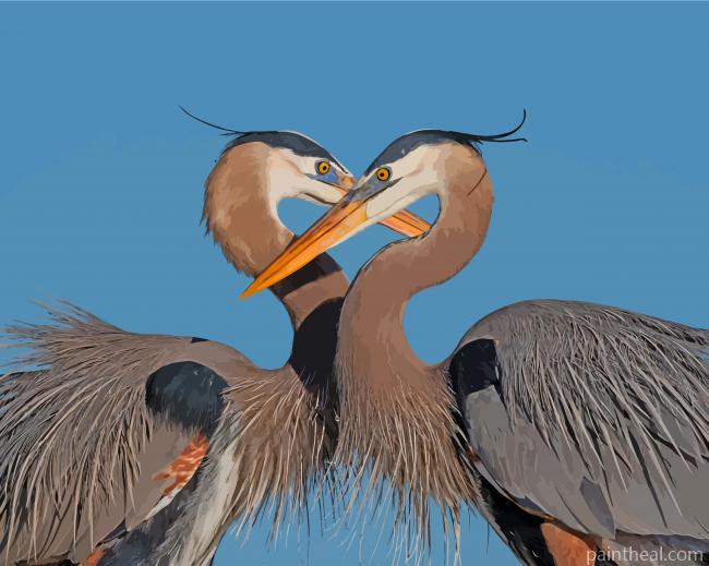 Great Blue Heron Couple Painting By Numbers Kits