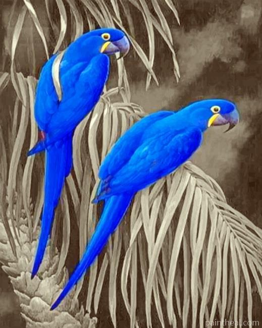 Royal Blue Parrots Painting By Numbers Kits
