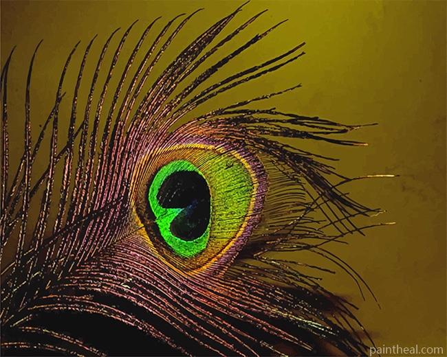 Peacock Feather Painting By Numbers Kits
