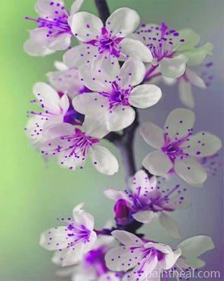 Purple Orchid NEW Painting By Numbers Kits