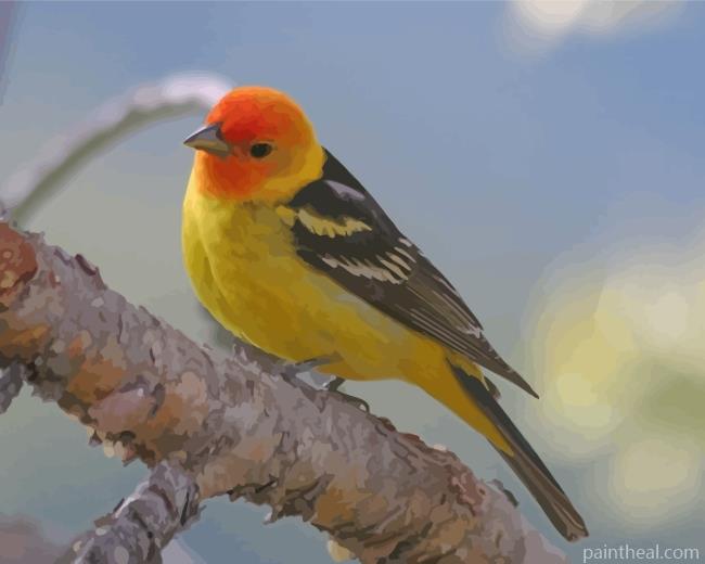 The Western Tanager Bird Painting By Numbers Kits