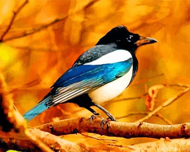 Magpie Bird Animal Painting By Numbers Kits
