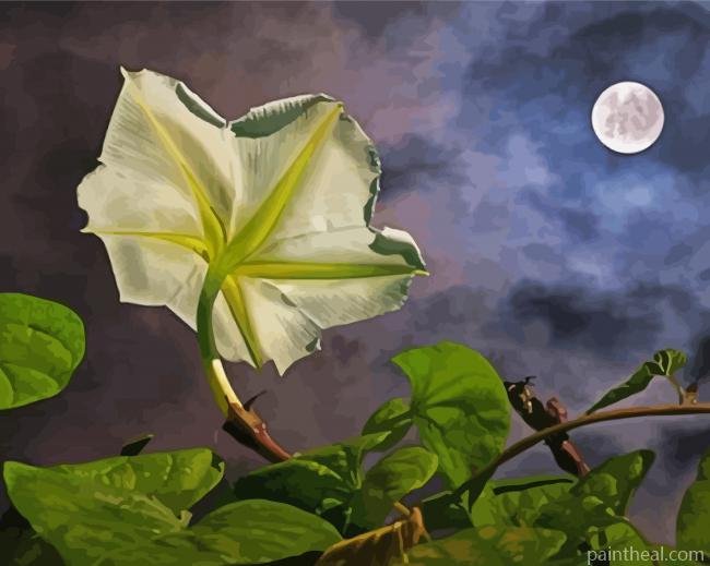 Aesthetic Moon Flower Art Painting By Numbers Kits
