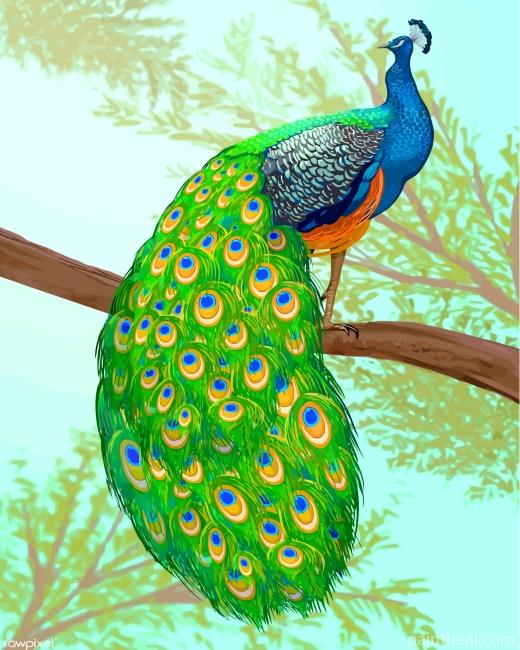 Peacock On A Branch Painting By Numbers Kits