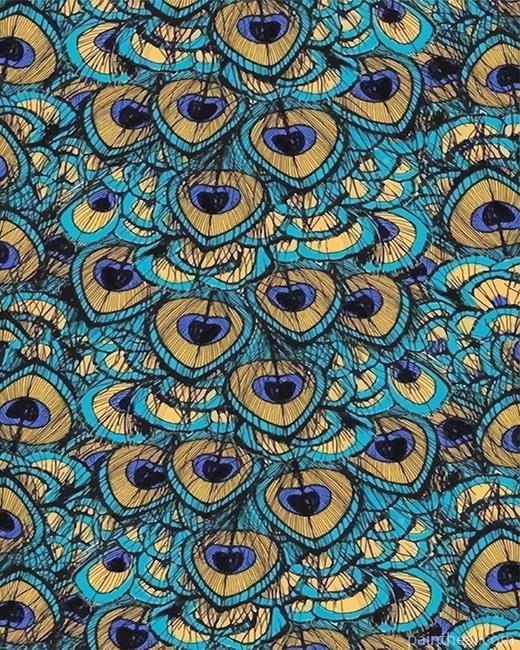 Peacock Feather Art NEW Painting By Numbers Kits