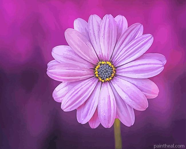 Purple Flower NEW Painting By Numbers Kits