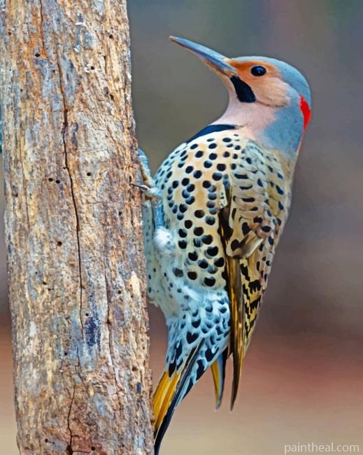 Northern Flicker Painting By Numbers Kits