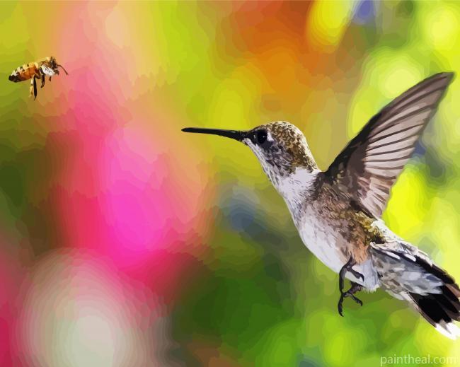 Hummingbird And Bee Painting By Numbers Kits