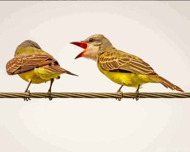 Finches On Wire Painting By Numbers Kits