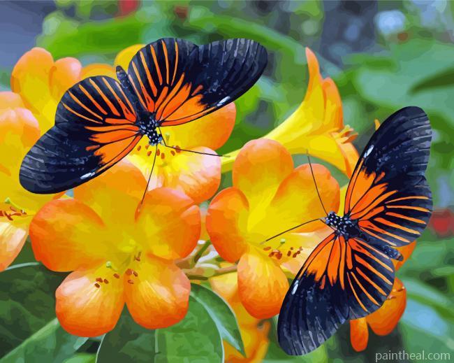 Orange Flowers And Butterflies Painting By Numbers Kits