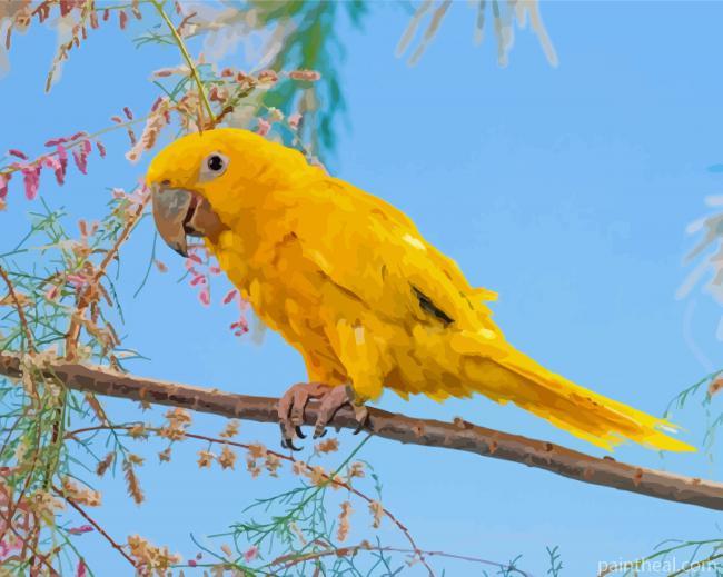 Golden Conures On Stick Painting By Numbers Kits