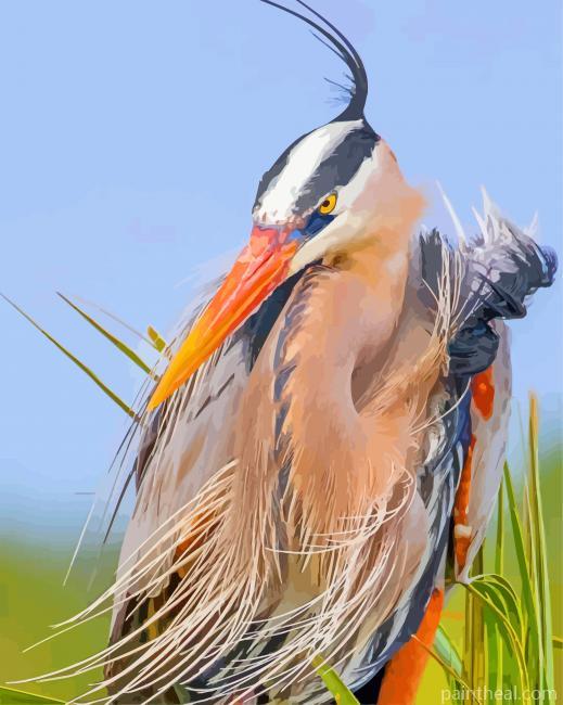 Blue Heron Bird Painting By Numbers Kits