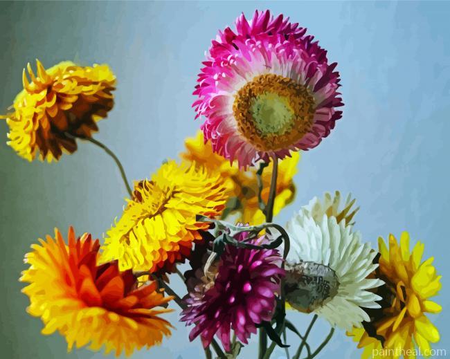 Australian Flower Painting By Numbers Kits