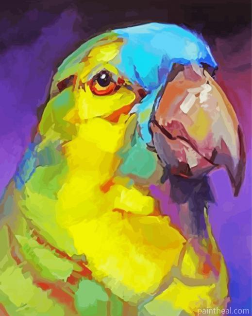 Turquoise Fronted Amazon Head Art Painting By Numbers Kits