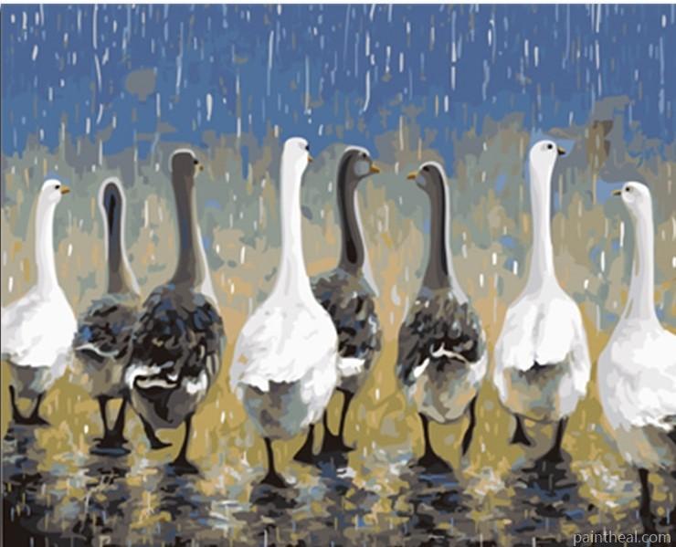 Snow Geese Birds Painting By Numbers Kits