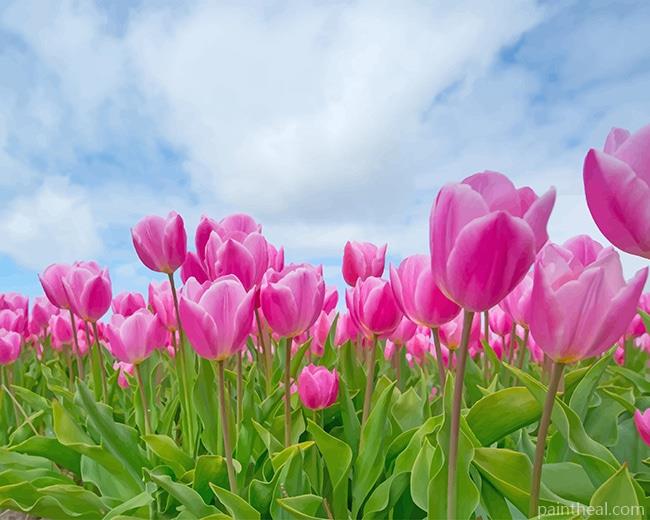 Beautiful Tulips NEW Painting By Numbers Kits