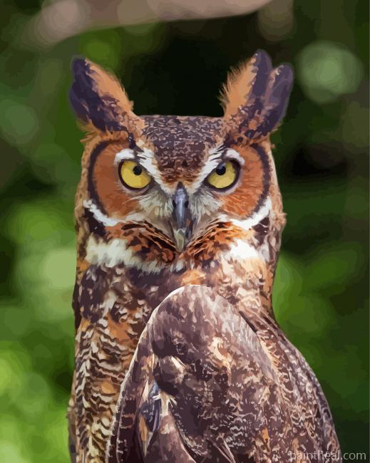 Horned Owl Painting By Numbers Kits