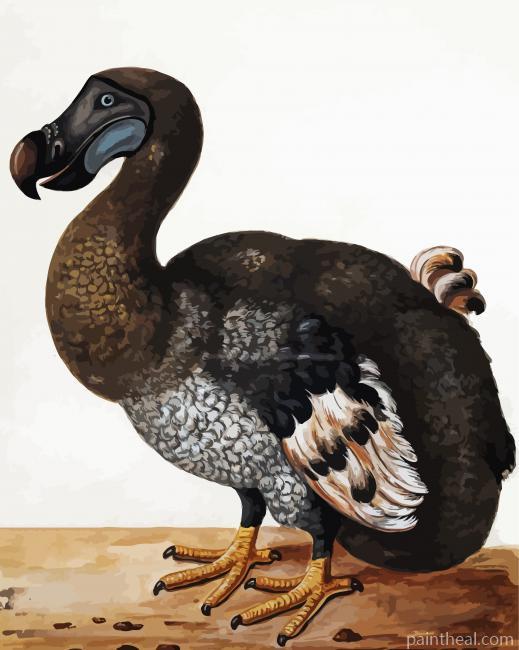 Dodo Painting By Numbers Kits