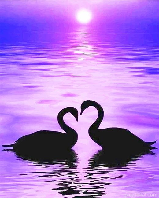 Swans Silhouette Painting By Numbers Kits