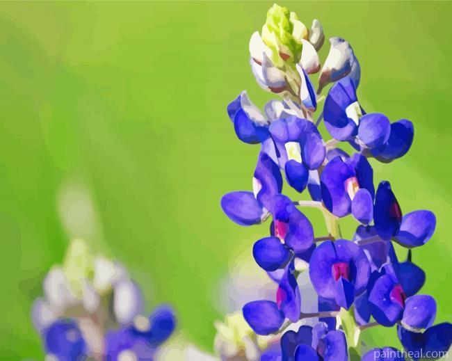 Texas Bluebonnet Flower Painting By Numbers Kits