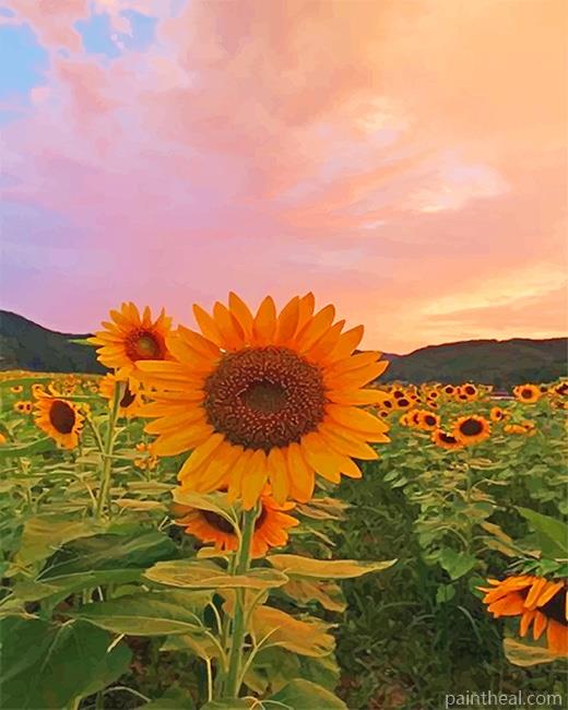 Aesthetic Sunflowers Painting By Numbers Kits