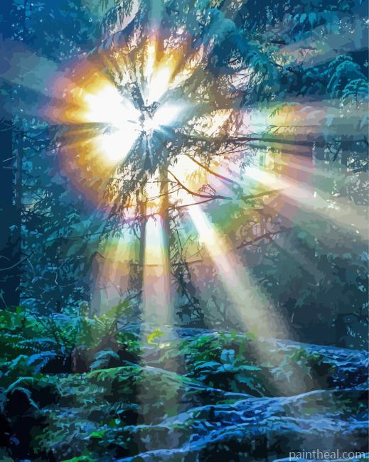 Forest Light Rainbow Painting By Numbers Kits