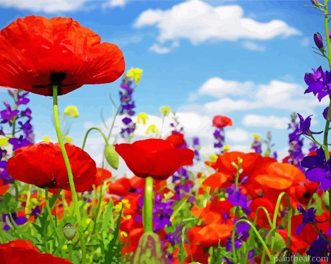 Colorful Field Of Wild Flowers Painting By Numbers Kits