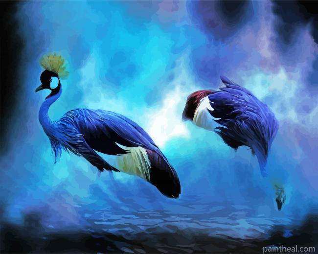 Two Grey Crowned Crane Art Painting By Numbers Kits