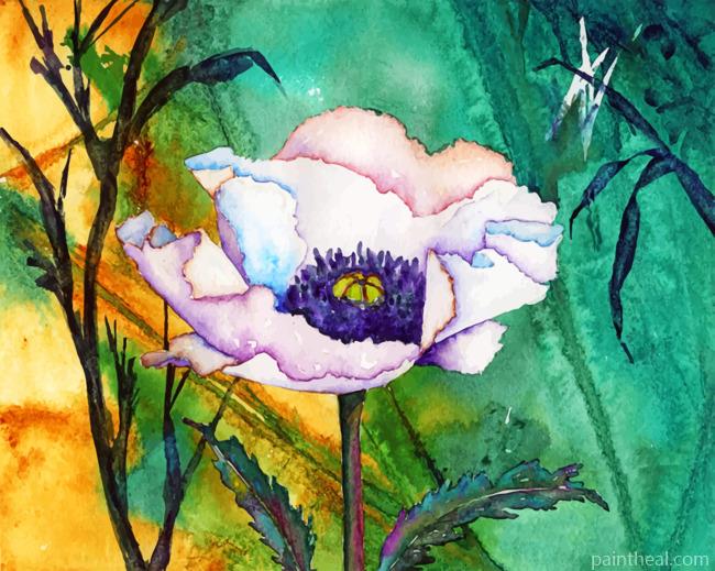 White Poppy Art Painting By Numbers Kits